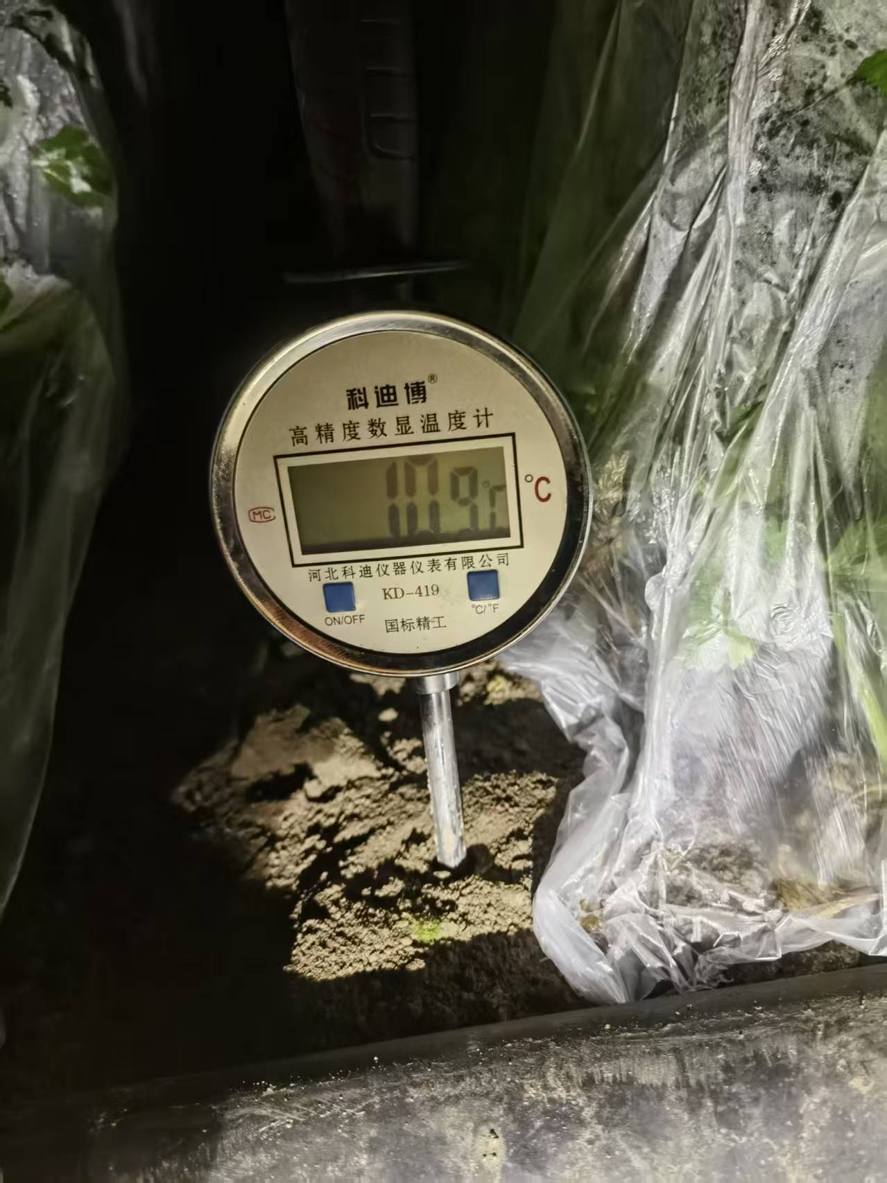 老哥网 - 专业资讯分享与生涯经验互换平台